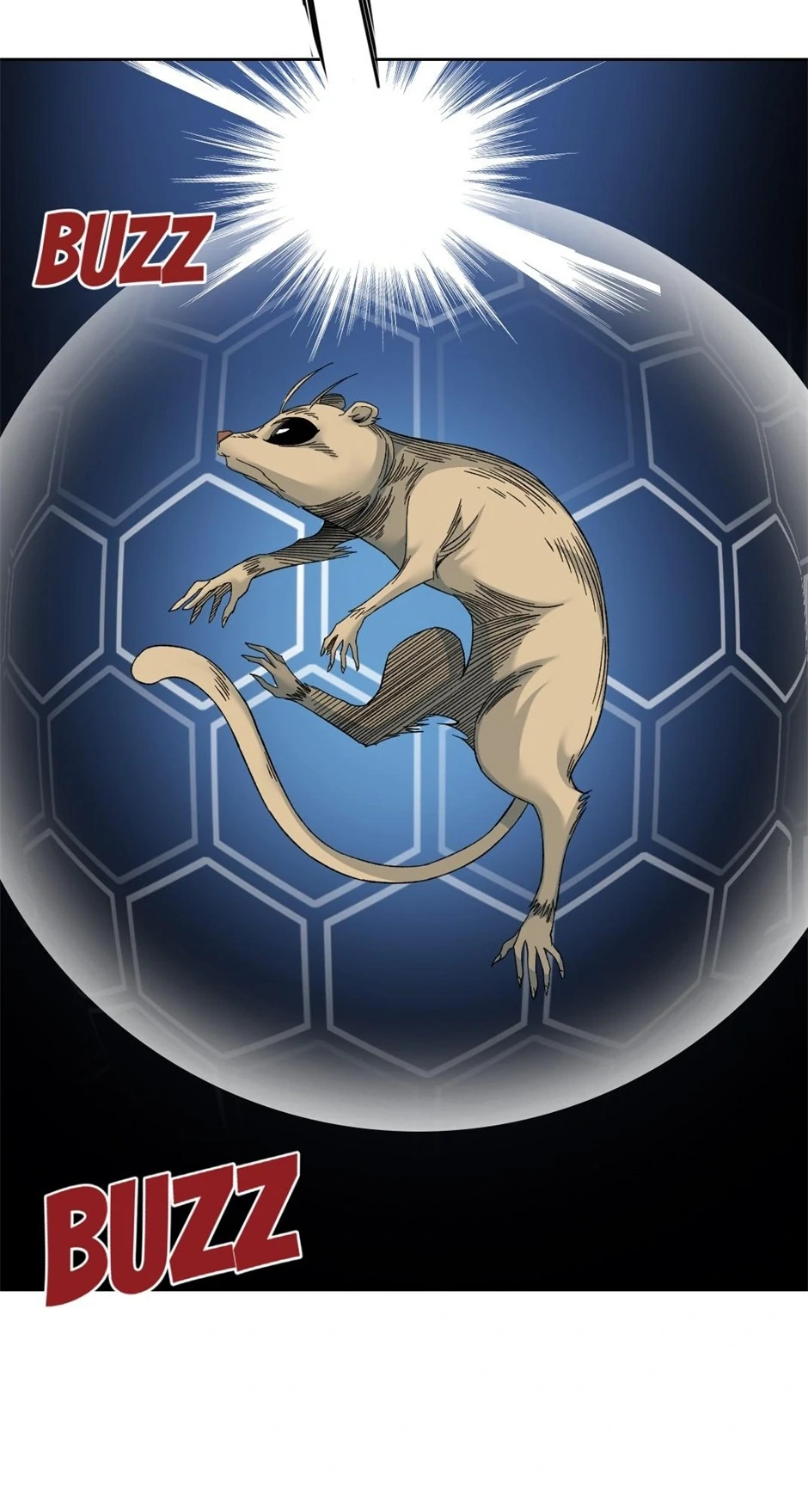 81907813 940 1758 147868